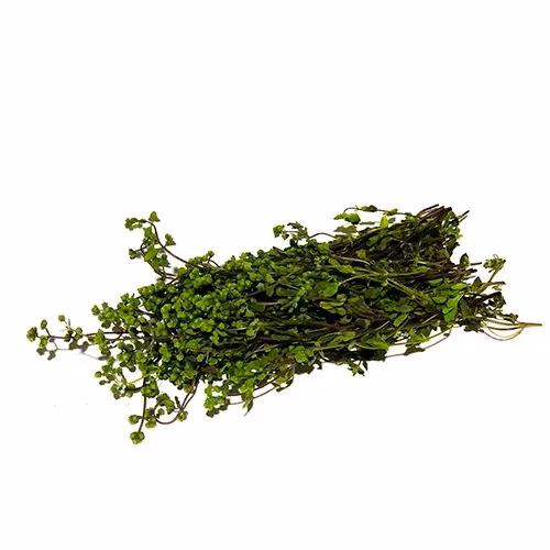 Marjoram 20g Kenya
